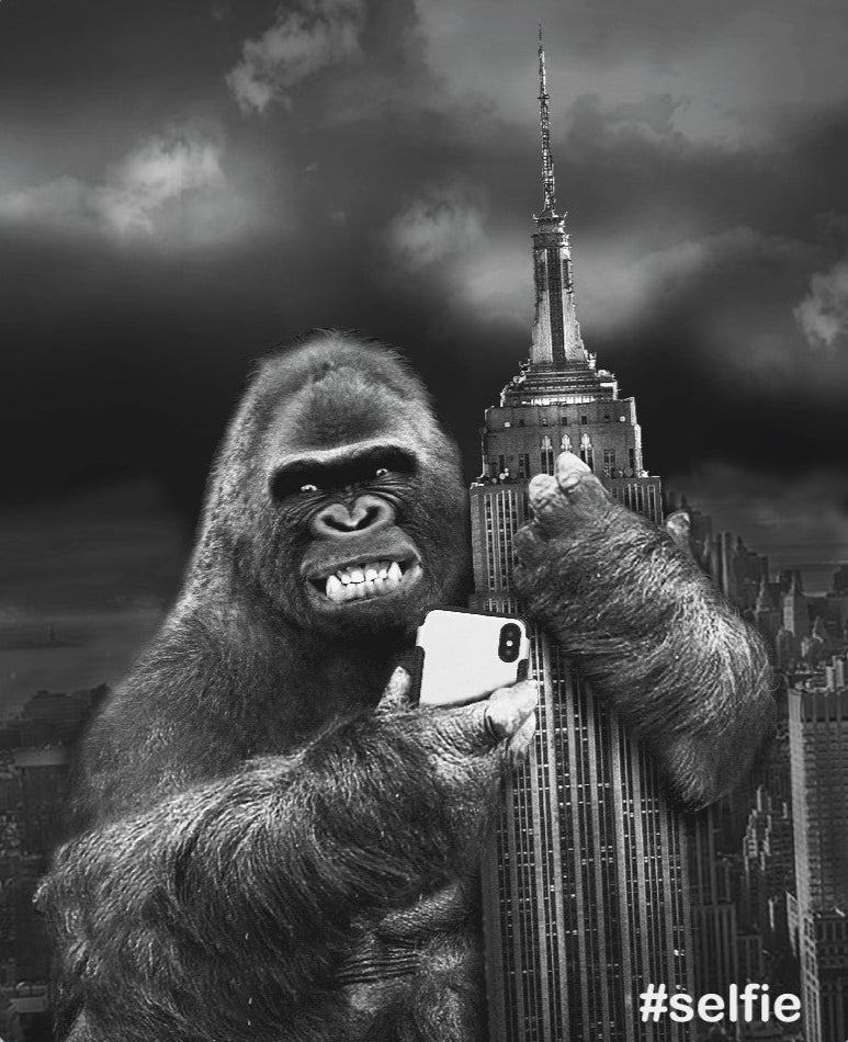 ESB Kong Selfie T-shirt Grey Kids